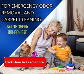 Contact Us | 818-661-1670 | Carpet Cleaning Northridge, CA